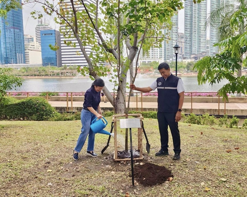 Tree Planting 1