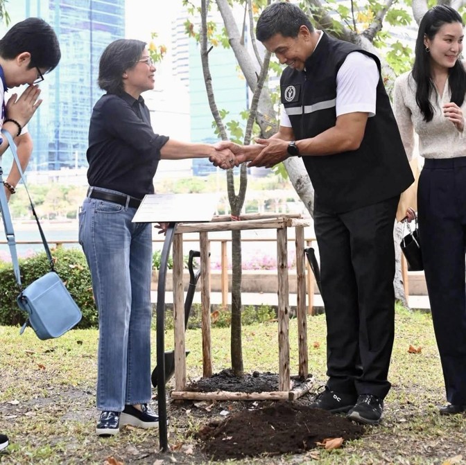 Tree Planting 3