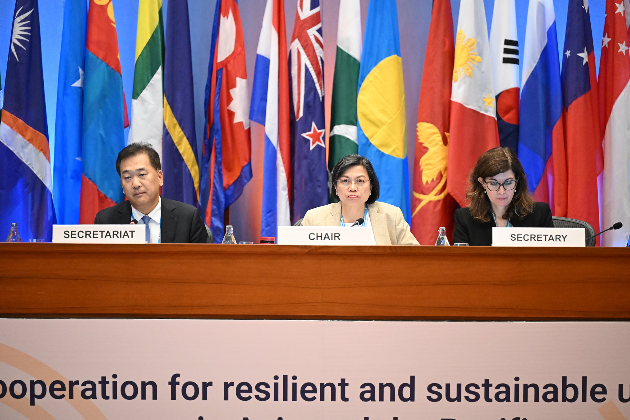 ESCAP81 5 PHVC Day4